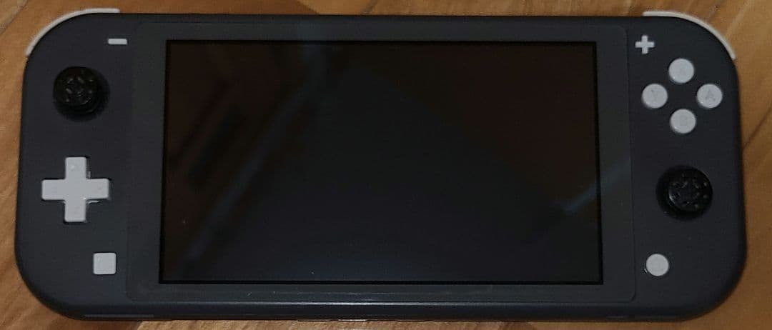 Nintendo Switch Lite グレー 本体のみ　値段交渉可能