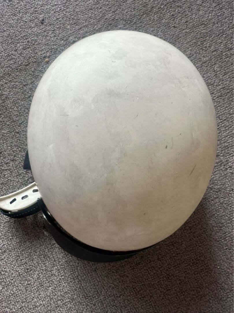 【OCEAN BEETLE 】ショーティーフォー【M】 Chill エイジング