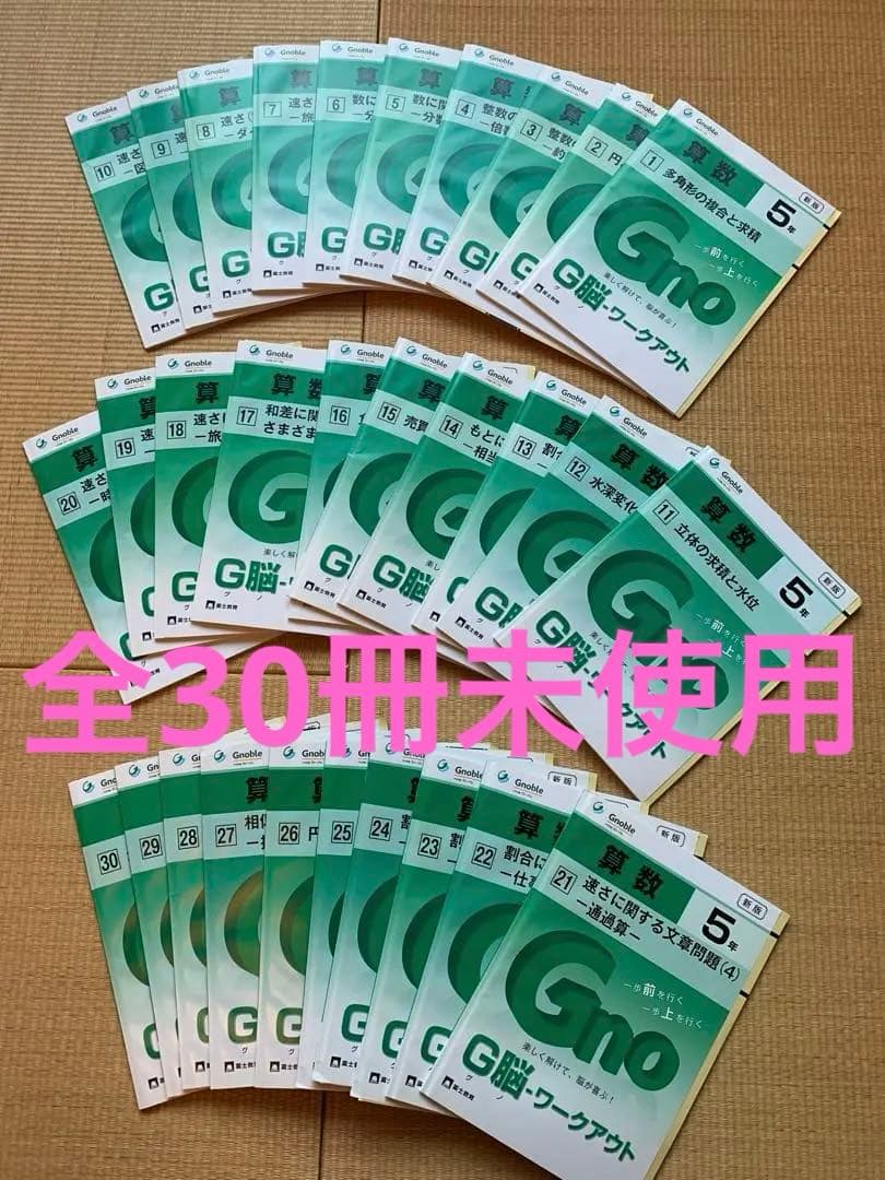 夏期割引【未使用】グノーブルG脳-ワークアウト　新版　5年　算数　全30冊