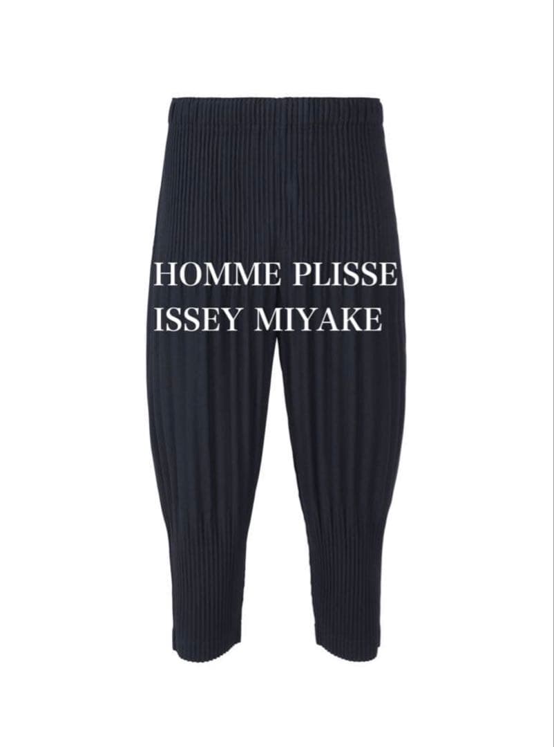 HOMME PLISSÉ ISSEY MIYAKE BASICS 黒 サイズ2