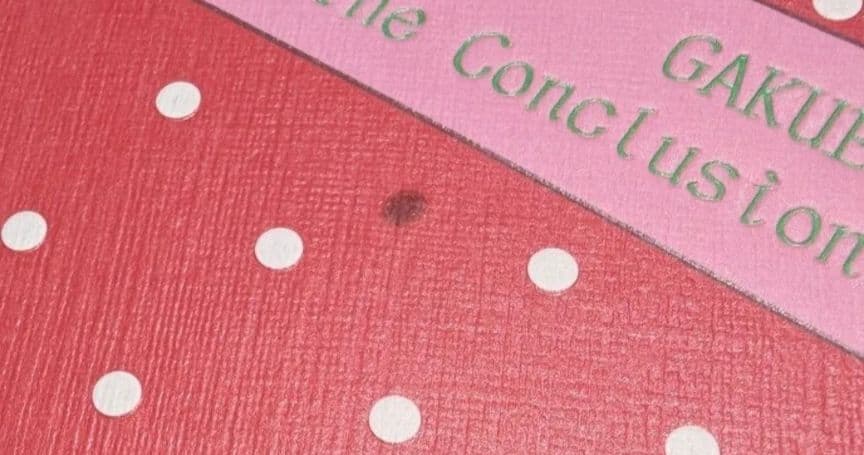 学園アリス完結記念本　樋口橘