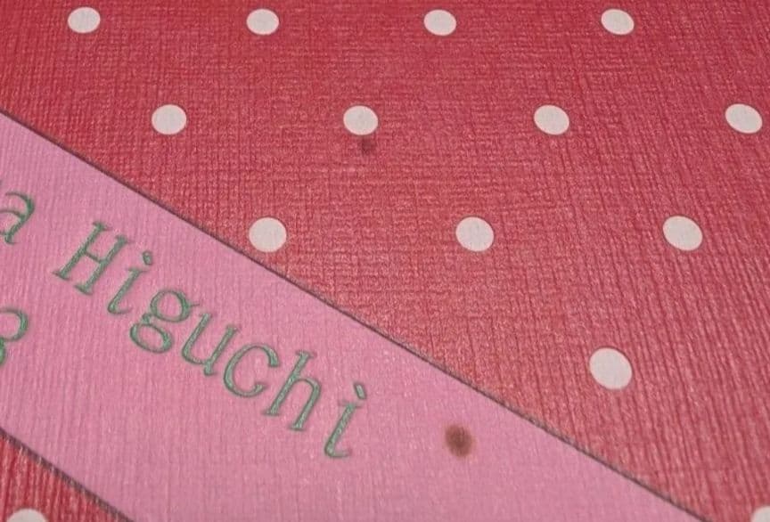 学園アリス完結記念本　樋口橘