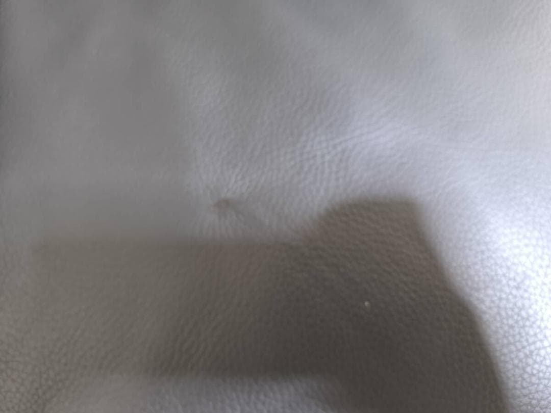 ROLF BENZ（ロルフベンツ）ソファ「プルーラ」革ブラック色 163万