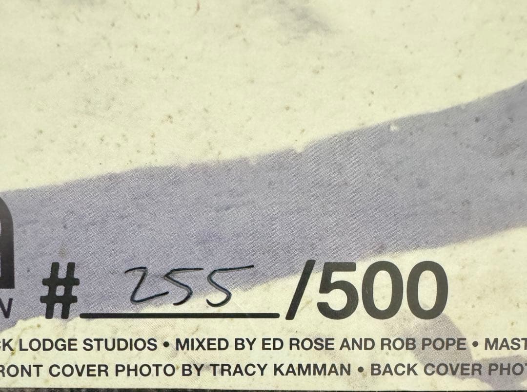 THE GET UP KIDS limited 500 レコード　極美品