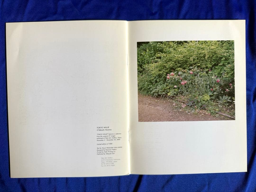 ホンマタカシ（Takashi Homma）「TOKYO WILLIE」貴重