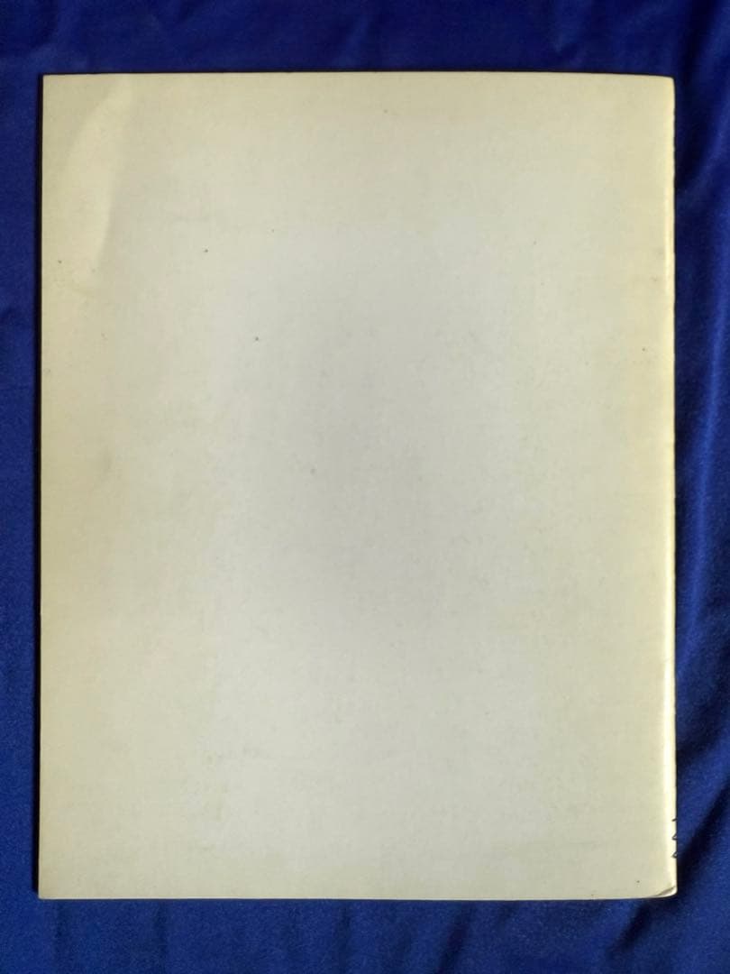 ホンマタカシ（Takashi Homma）「TOKYO WILLIE」貴重