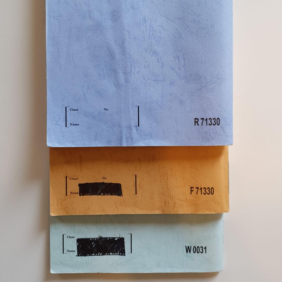 駿台エクストラ英語αテキスト1年分+夏期講習竹岡広信先生オリジナル解答解説