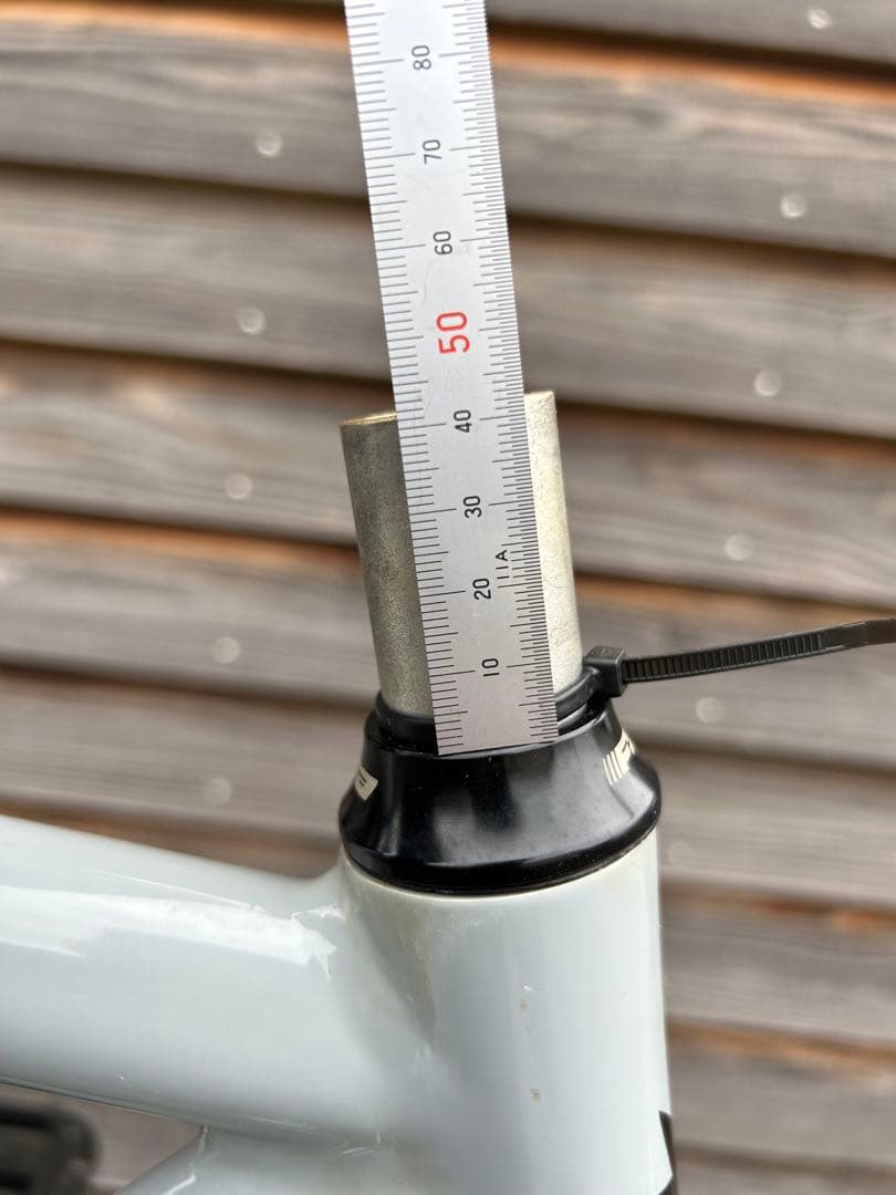 【DODICI 】Special Msize