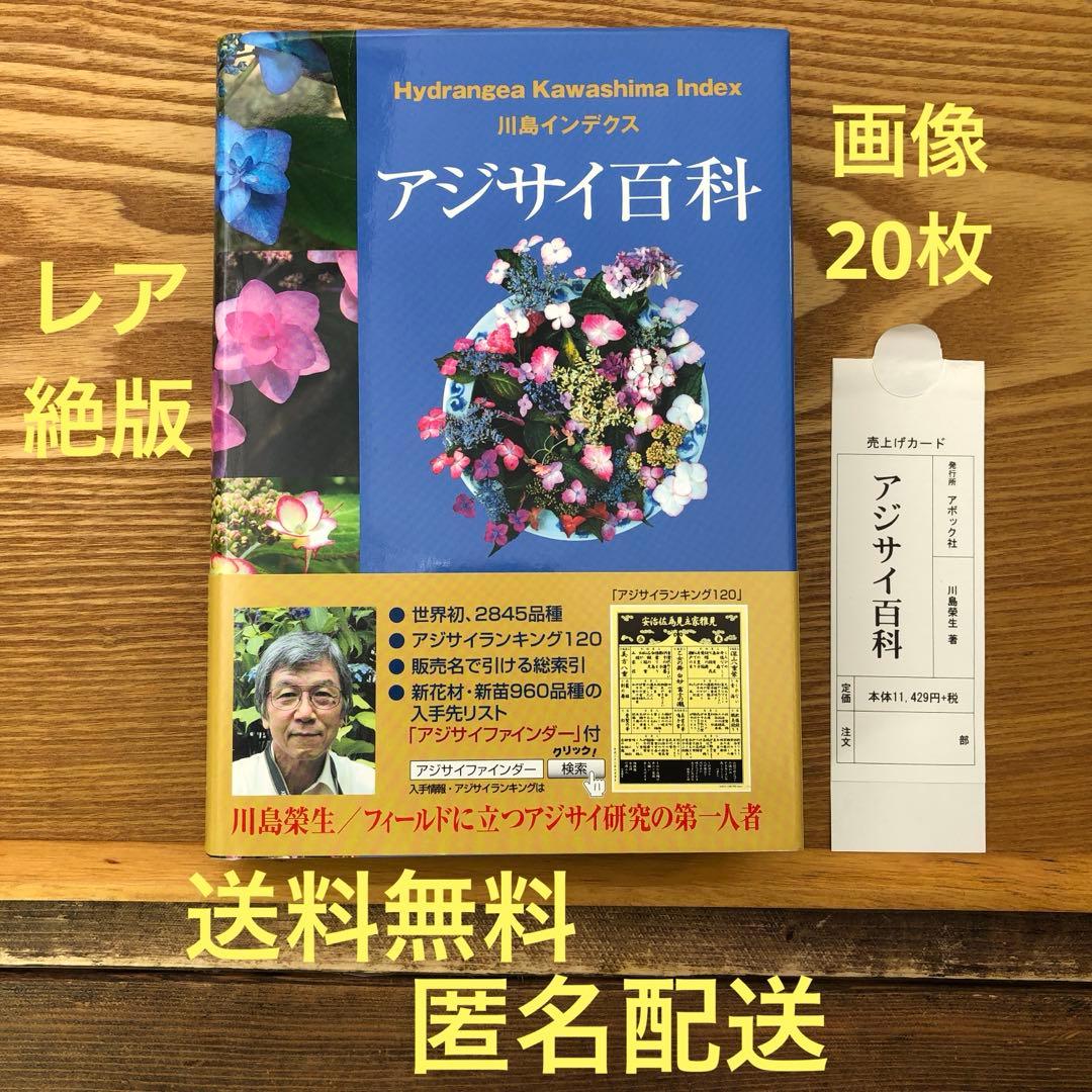 【限定1冊のみ】アジサイ百科 川島 榮生著 希少 レア 美品 匿名配送