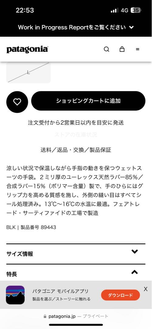 サーフィン　グローブ　ロイヤル Lサイズ3mm　パタゴニア2mmサイズL