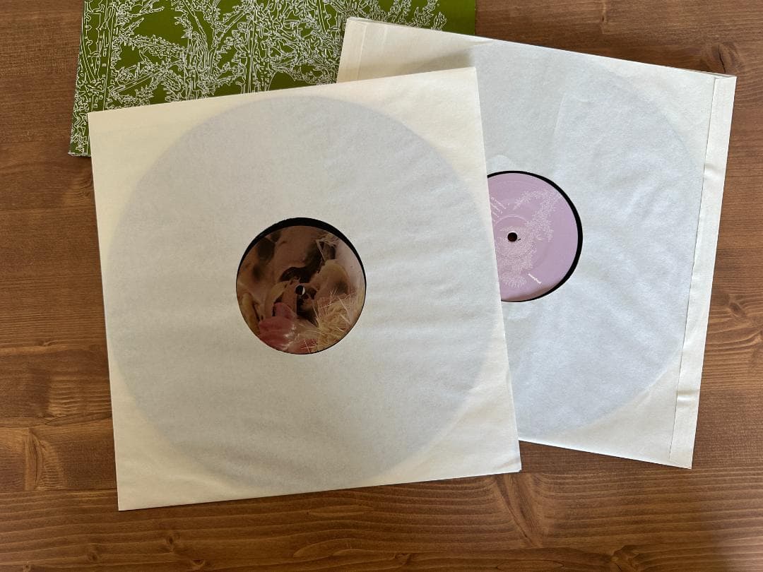 Ricardo Villalobos Alcachofa レコード