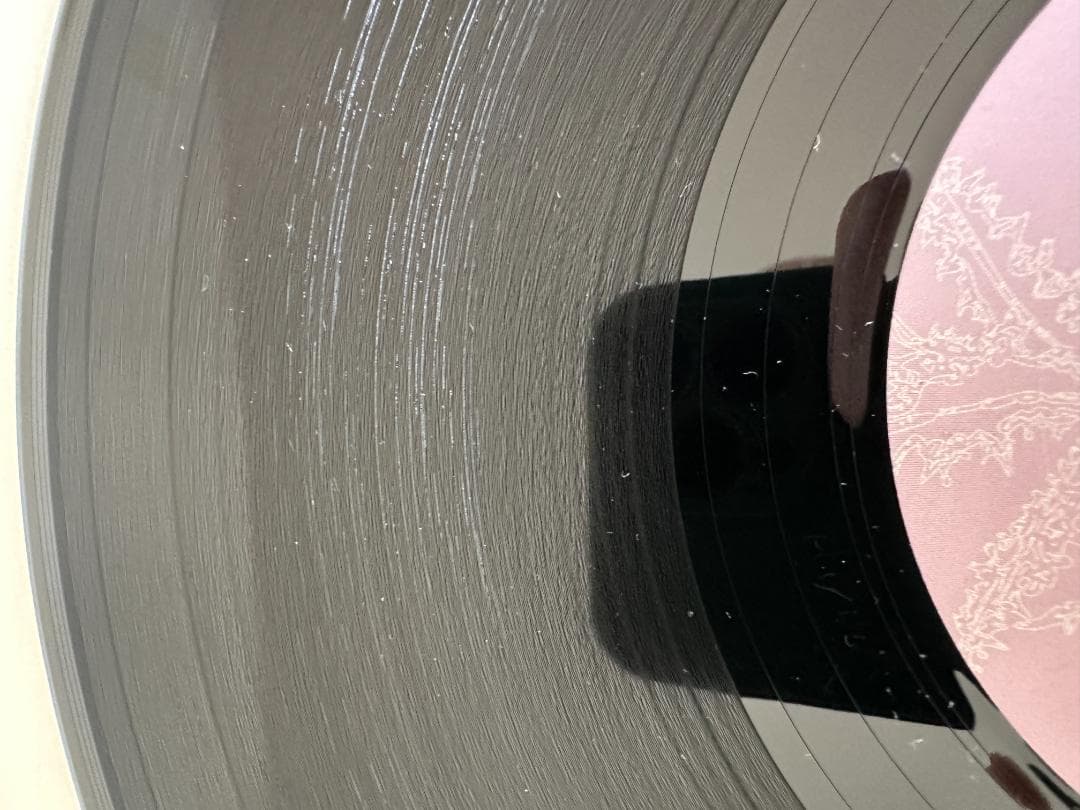 Ricardo Villalobos Alcachofa レコード