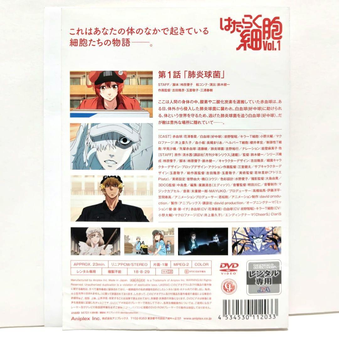 はたらく細胞 DVD 全巻 セット アニメ 清水茜