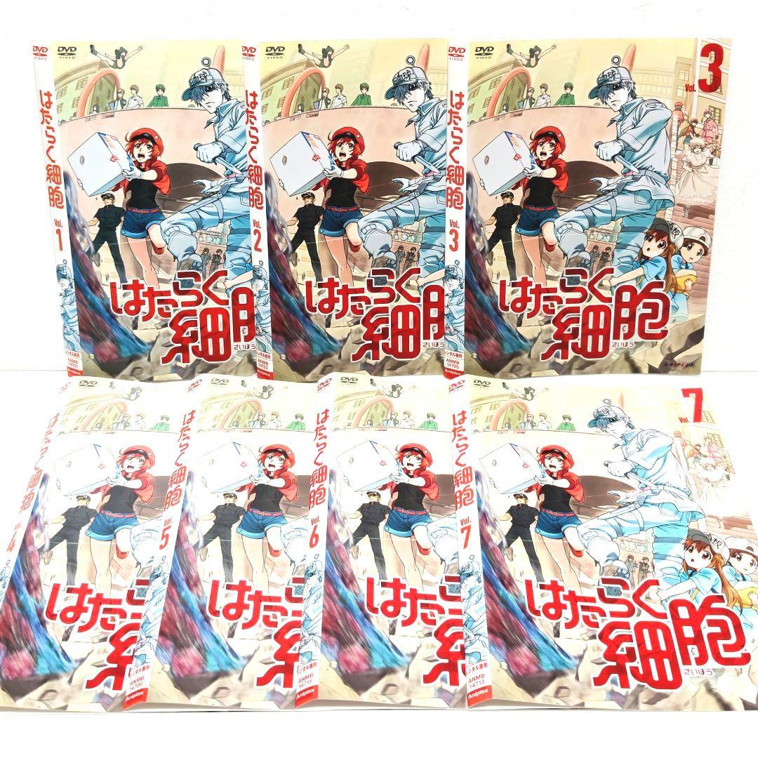 はたらく細胞 DVD 全巻 セット アニメ 清水茜