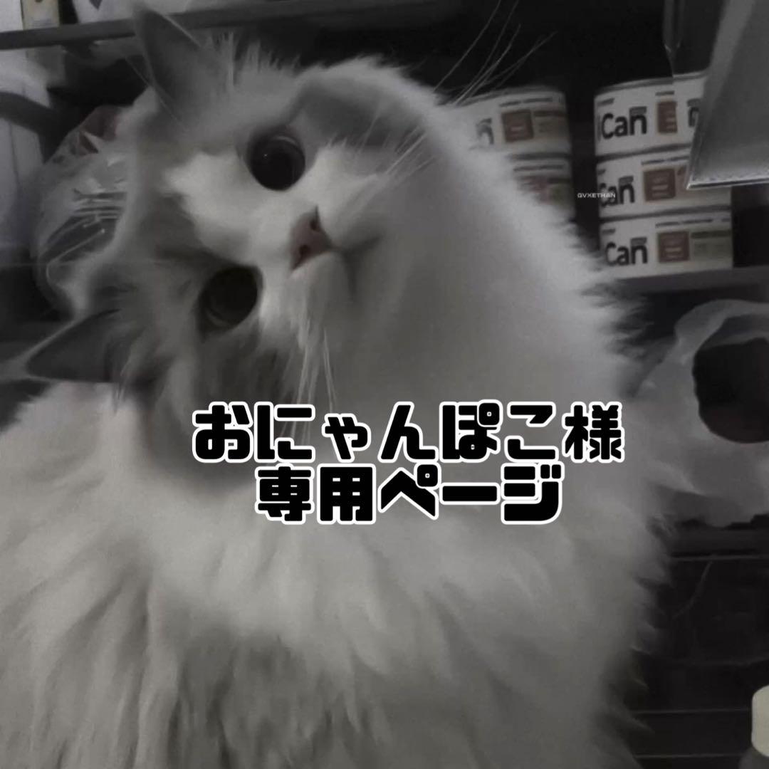 おにゃんぽこページ