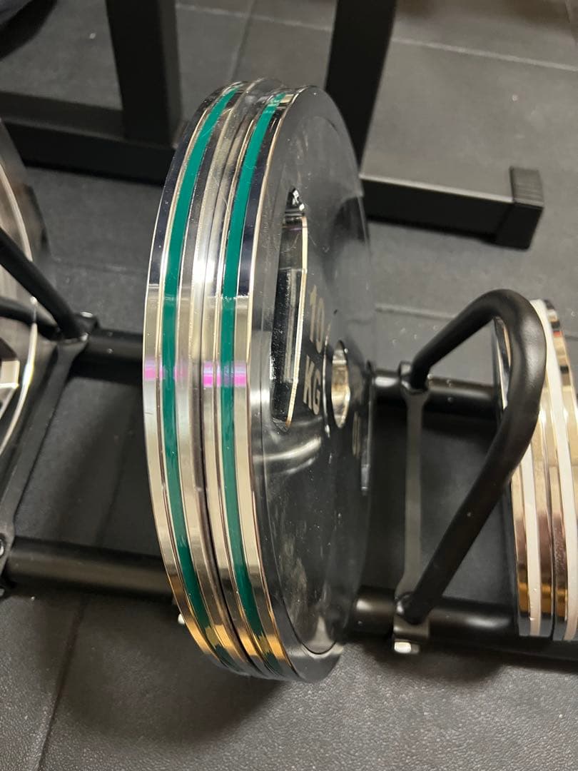 10kg ダンベルプレート シルバー/グリーン　２枚