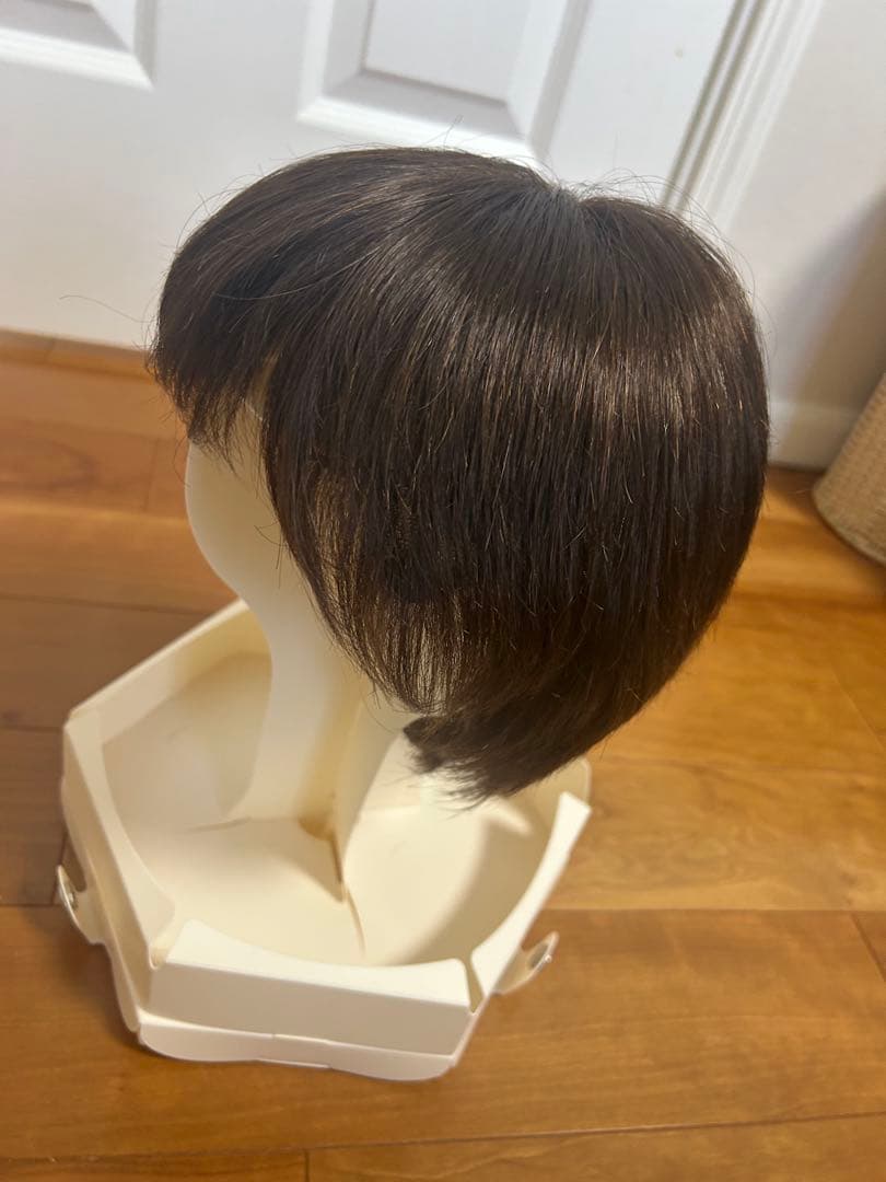 ジュリアオージェ　アートネイチャー 医療用ウィッグ　ANCS お手入れセット付