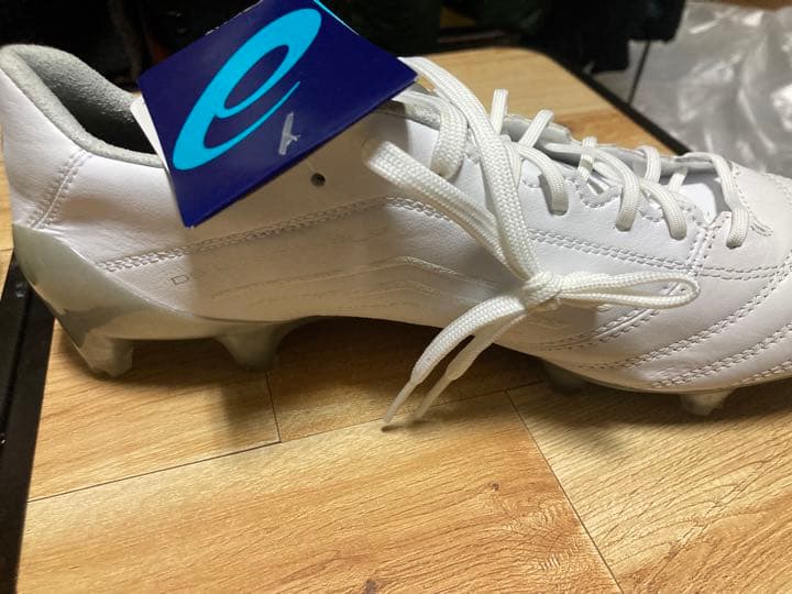 シューズ asics ds light x-fly 4