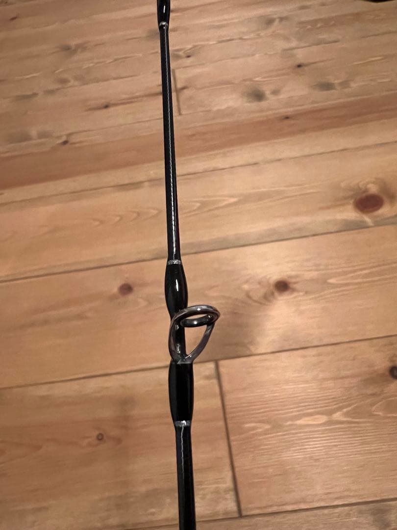 フィッシュマン ブリストマリノ9.9H