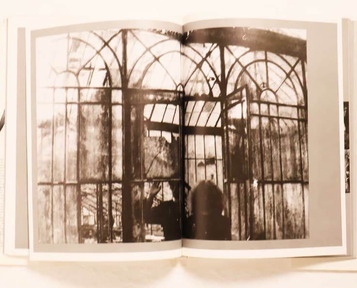 Deborah Turbeville　Wallflower