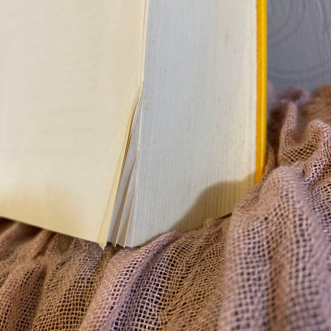 洋書 Quantum Field Theory I Eberhard Zeidler