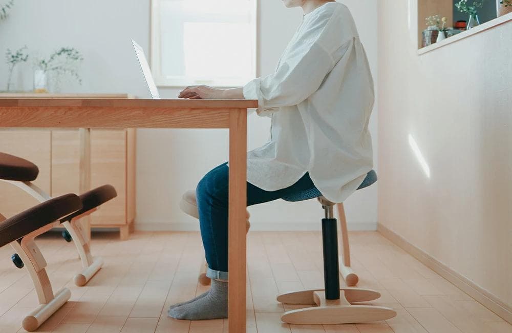 美品 Balans Synergy バランスシナジー カバー付 北欧 腰痛