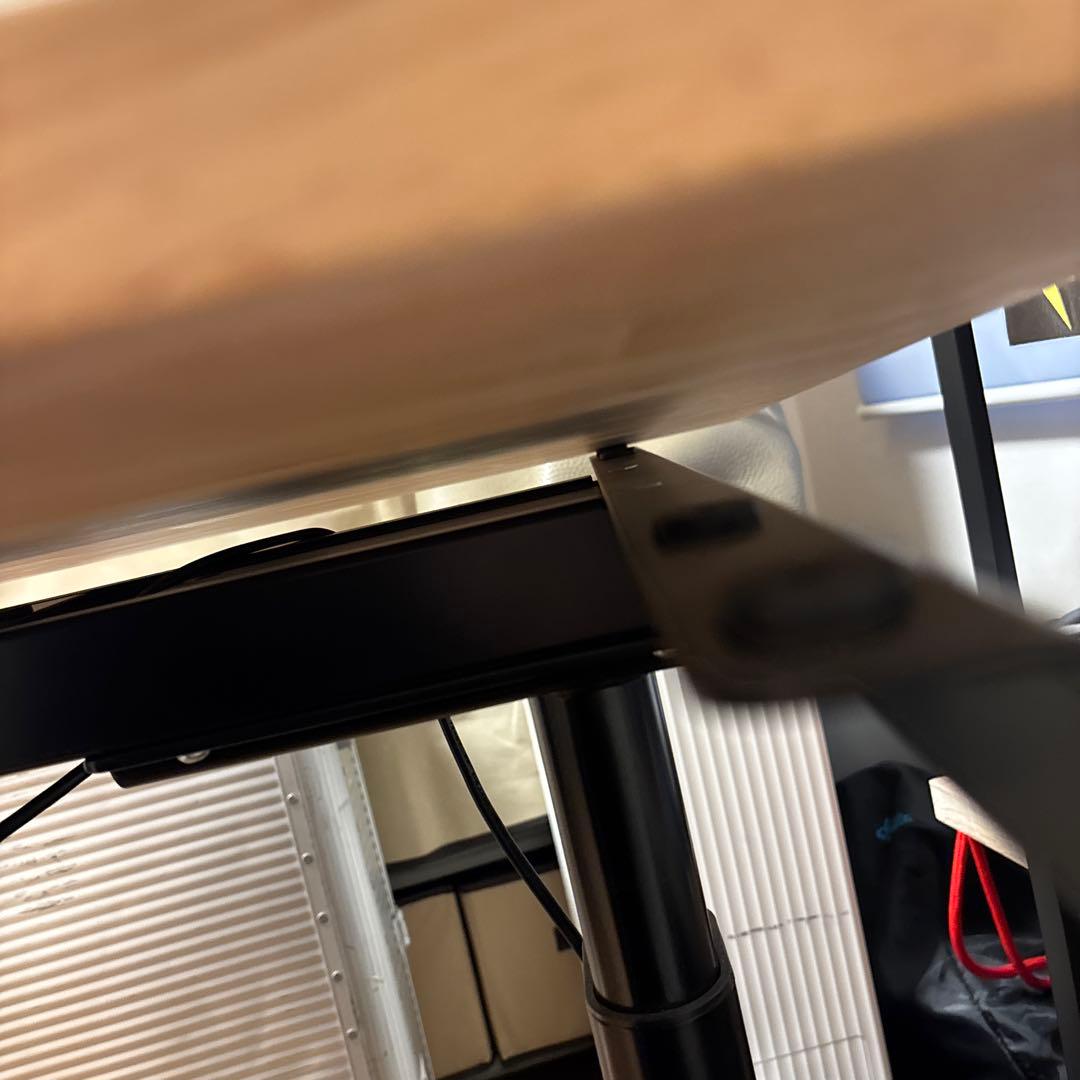 Flexispot E8電動昇降デスク +特注ラバーウッド天板