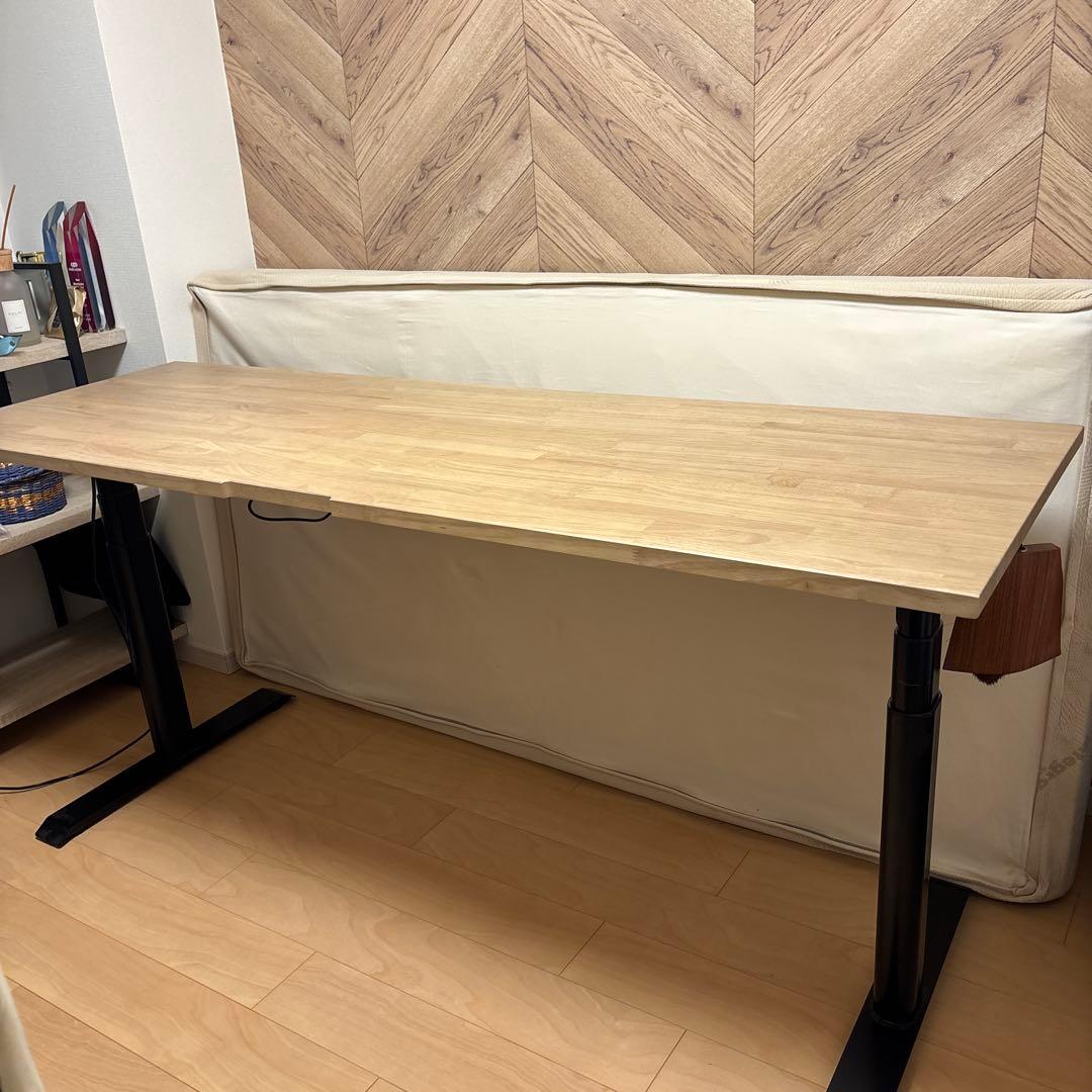 Flexispot E8電動昇降デスク +特注ラバーウッド天板