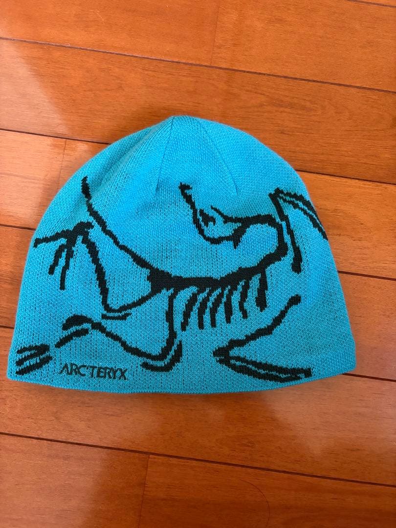 帽子 Arc'teryx Bird Head Toque