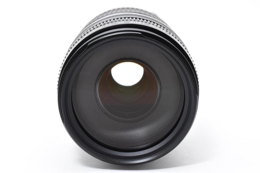 超望遠レンズ スポーツ観戦や旅行 Canon EF75-300㎜ III USM