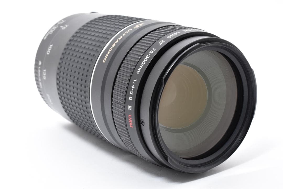 超望遠レンズ スポーツ観戦や旅行 Canon EF75-300㎜ III USM