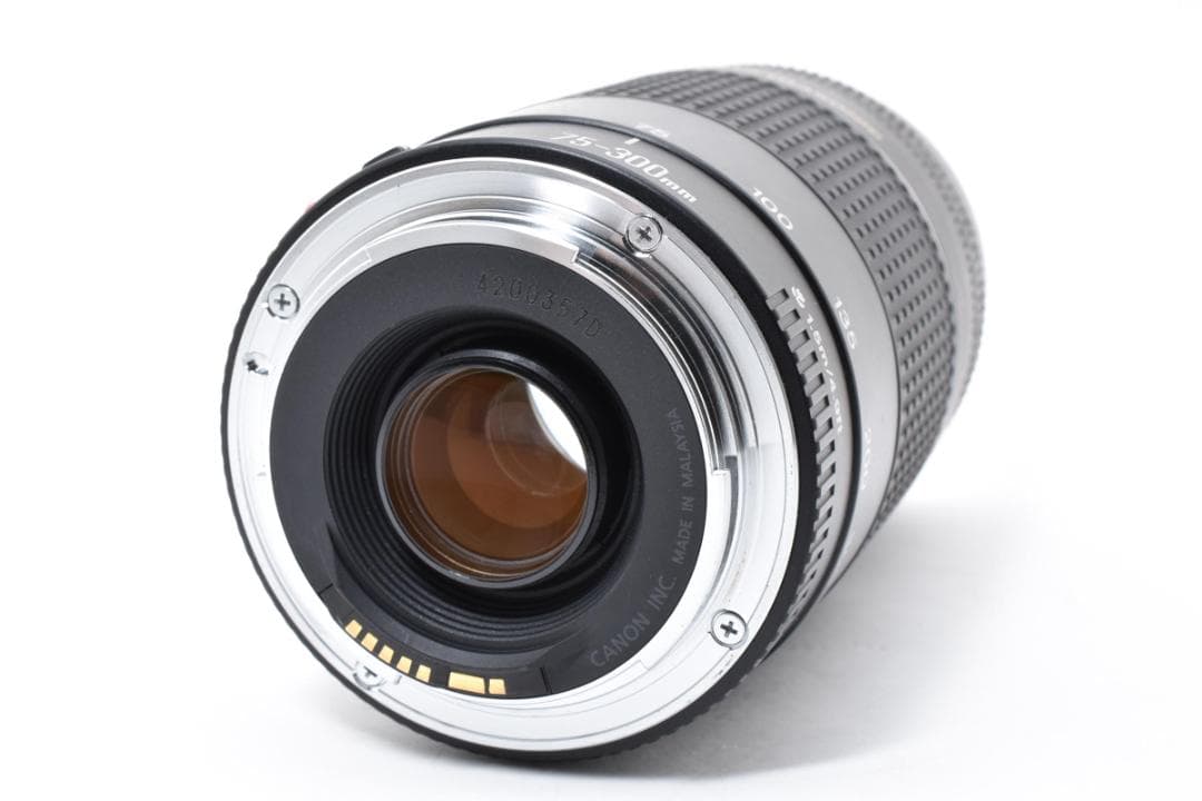 超望遠レンズ スポーツ観戦や旅行 Canon EF75-300㎜ III USM