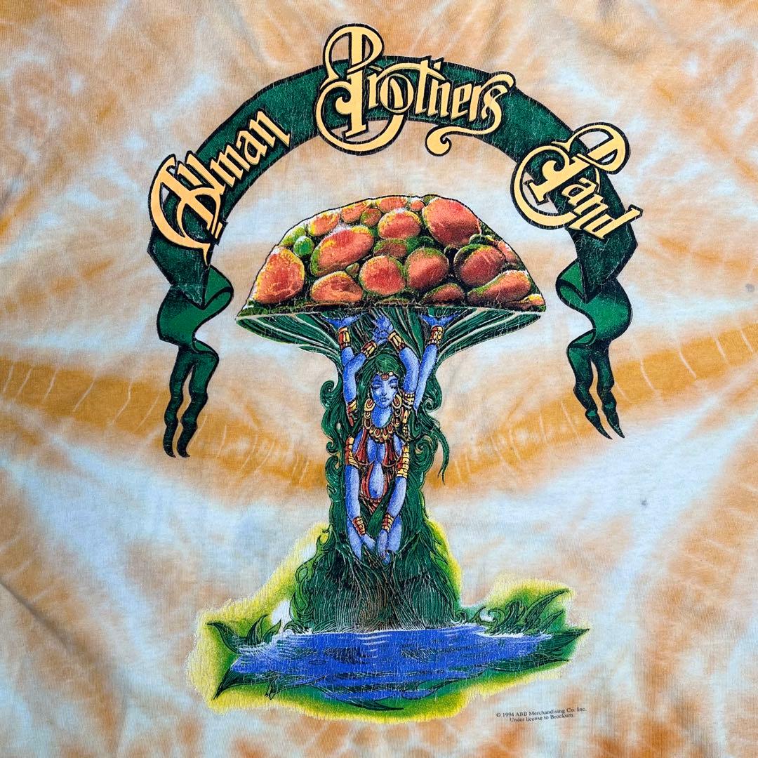 T*A様 《希少》USA製 90s Allman Brothers 1994 ツ