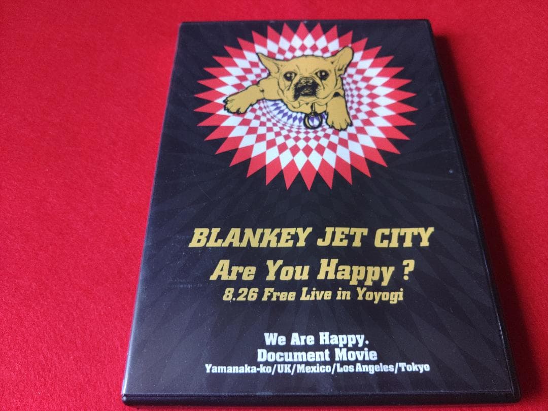 【値下】BLANKEY JET CITY　DVDセット
