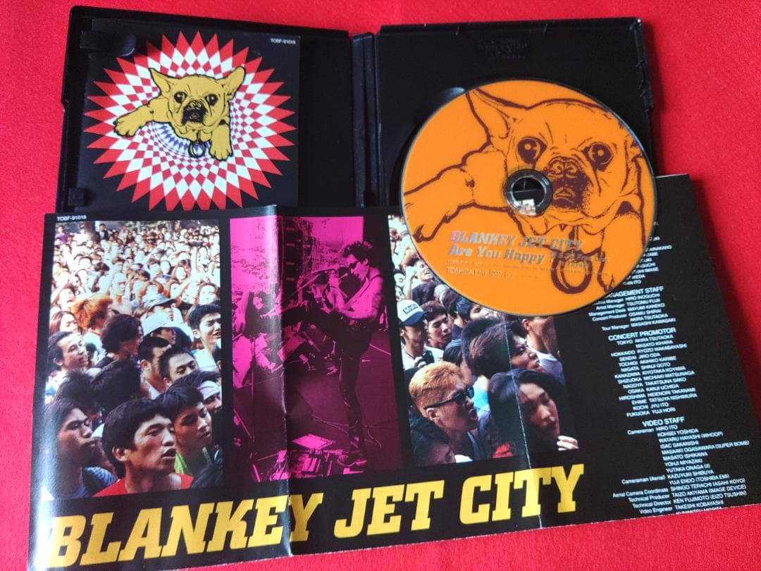 【値下】BLANKEY JET CITY　DVDセット