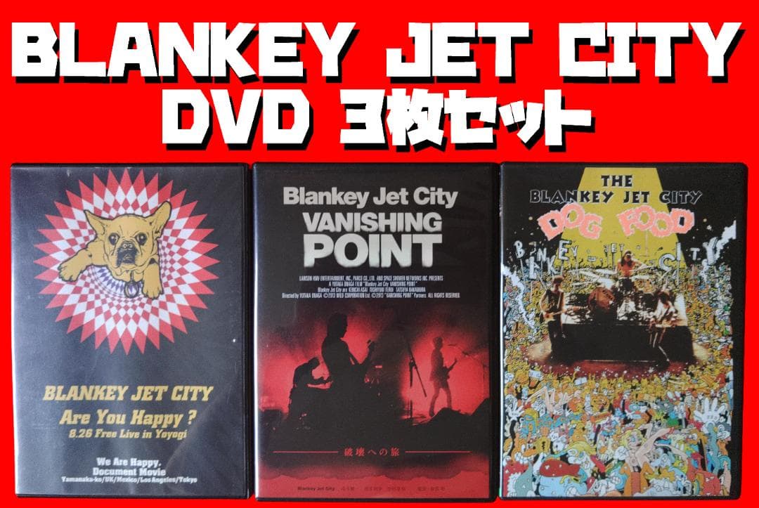 【値下】BLANKEY JET CITY　DVDセット