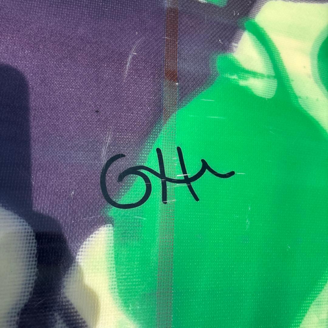 【希少】Gato Heroi PLAYBOY 9’6 ロビンシェイプ