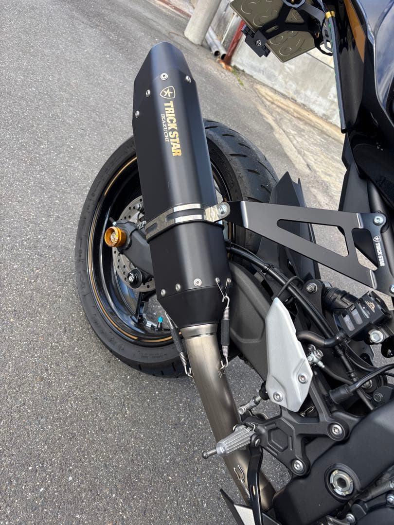 Ninja ZX250R トリックスター マフラーセット✨