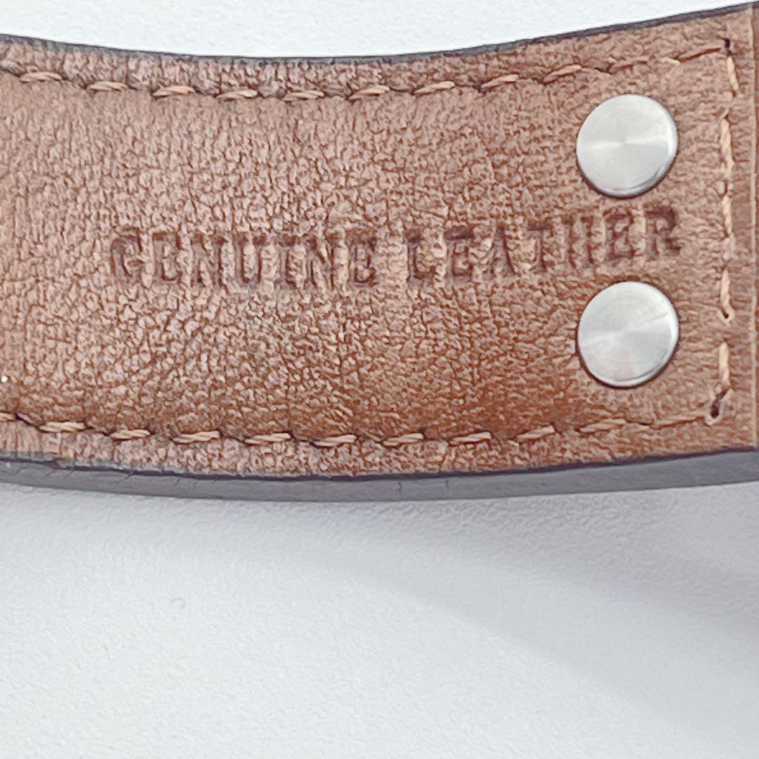 限定品 シチズン エコドライブ GN-4-S レザーバンド