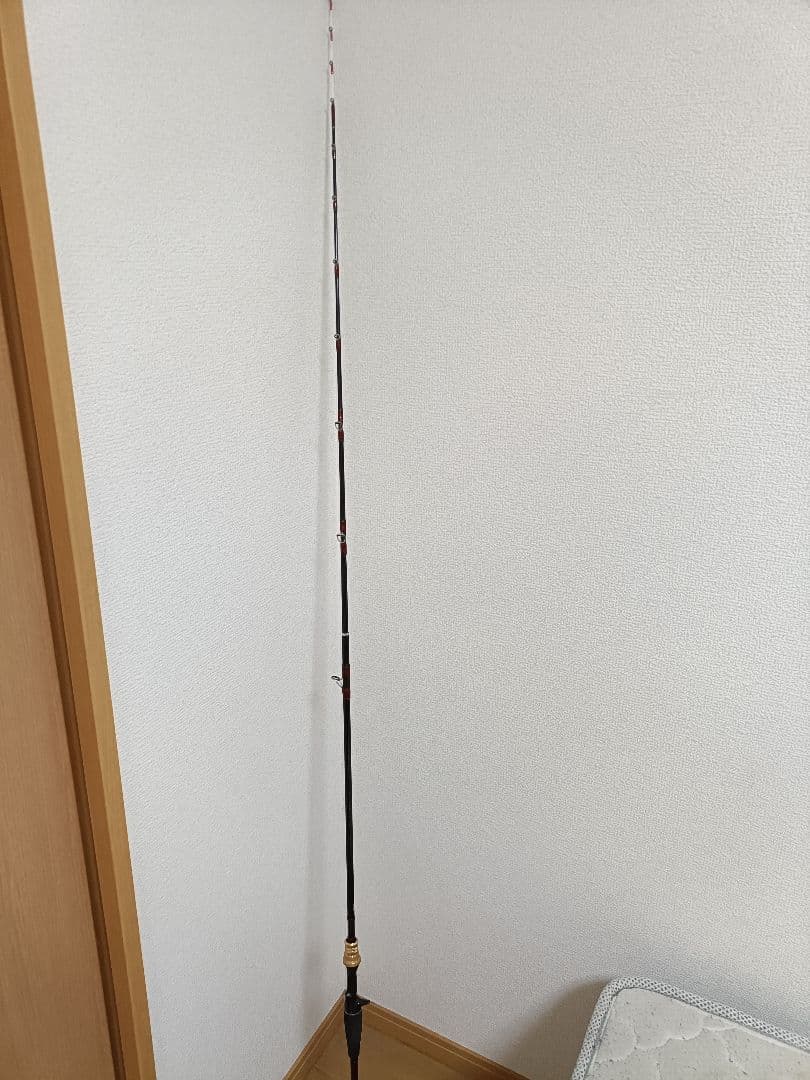 ダイワアナリスタータチウオ テンヤ 91-180・R / テンヤ 船タチウオ中古