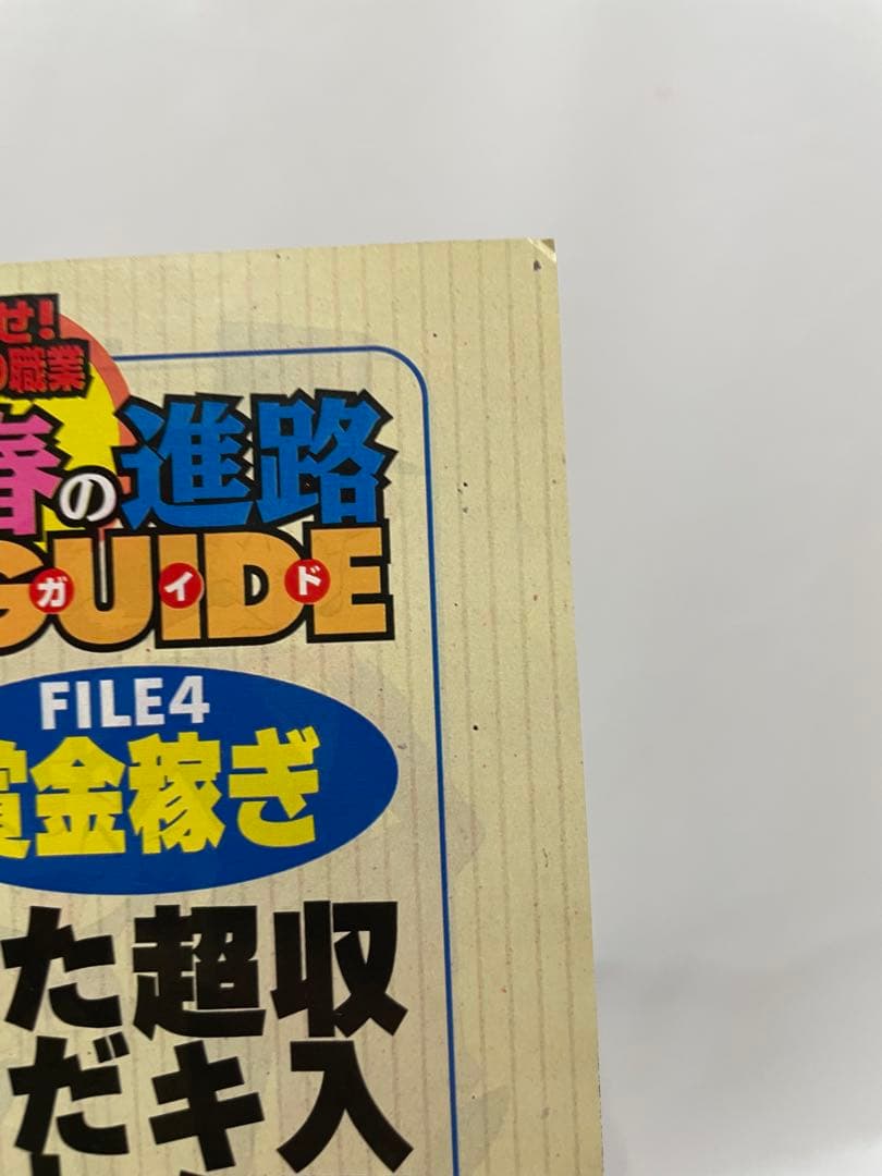 オレンジ諸島編　ルギア爆誕　記事　切抜き　アニメディア　1999 ポケモン