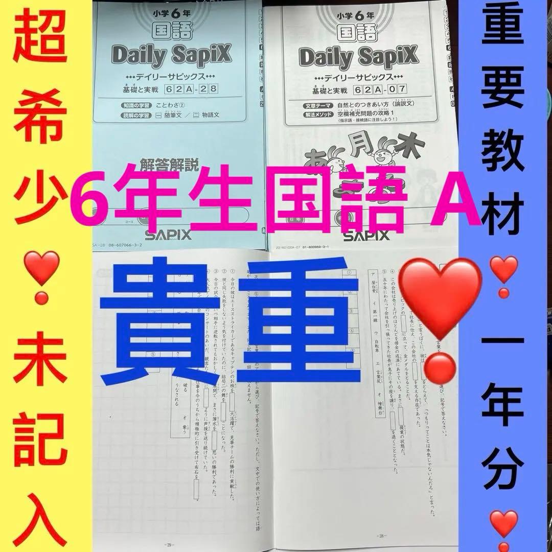 ㉑AAA サピックス　SAPIX 6年　国語Aテキスト　基礎と実戦