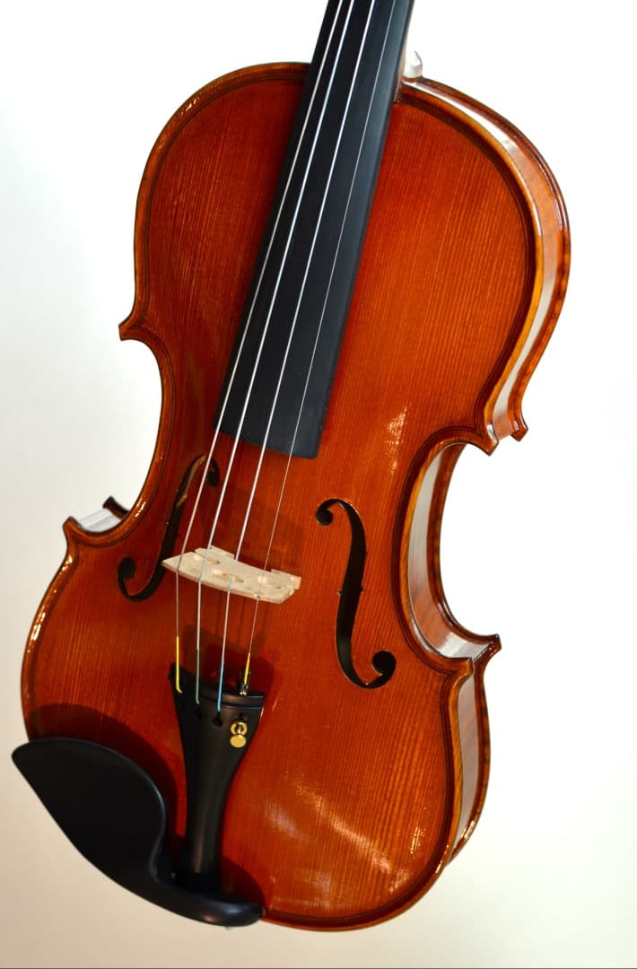 【Ayasa選定品】Gliga VASILE gama2 バイオリン 4/4