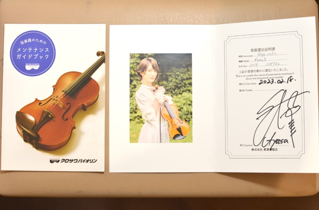 【Ayasa選定品】Gliga VASILE gama2 バイオリン 4/4