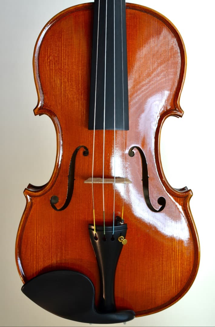 【Ayasa選定品】Gliga VASILE gama2 バイオリン 4/4