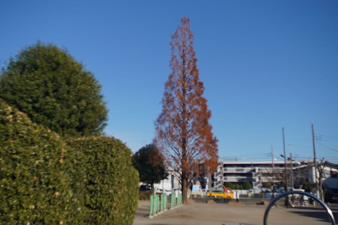 066_Schneider Cinegon 10mm f:1.8 シュナイダー