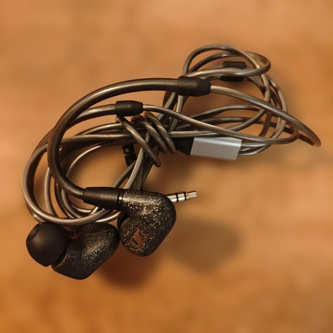 値下げ【正規品】Sennheiser ie300 箱無し　ケース付き