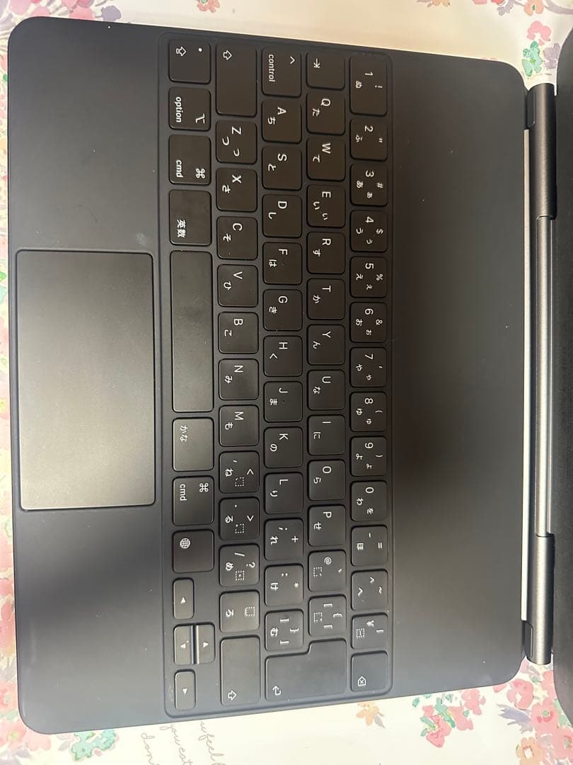 iPad Pro (12.9インチ) 第5世代　512GB