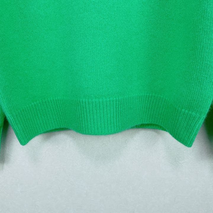 ２２FW新作【新品未使用 アルチビオ】カシミヤクルーセーター38号