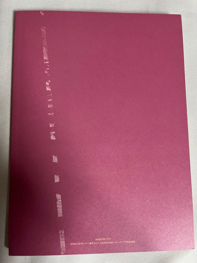 さやえんどう　サイレント・ウィッチ　DVD全巻セット